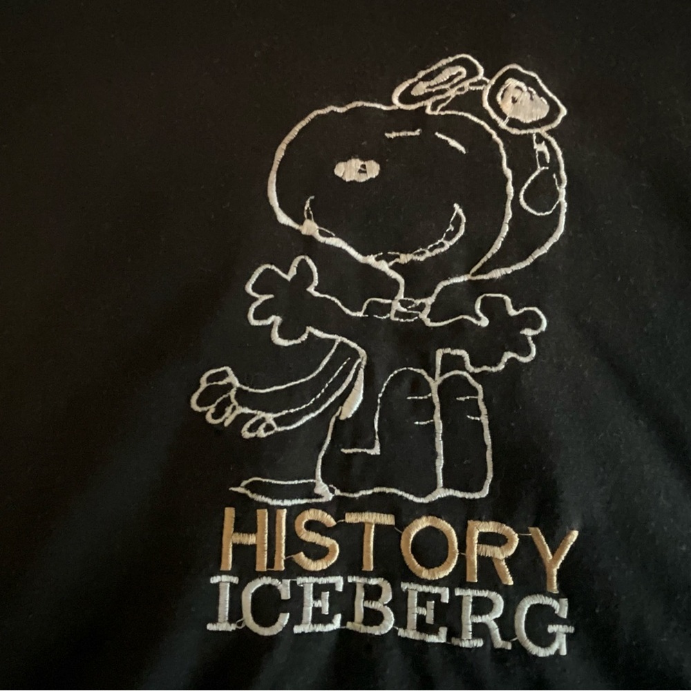 History Iceberg Peanuts Snoopy ShortSleeve Graphic T Shirt XL